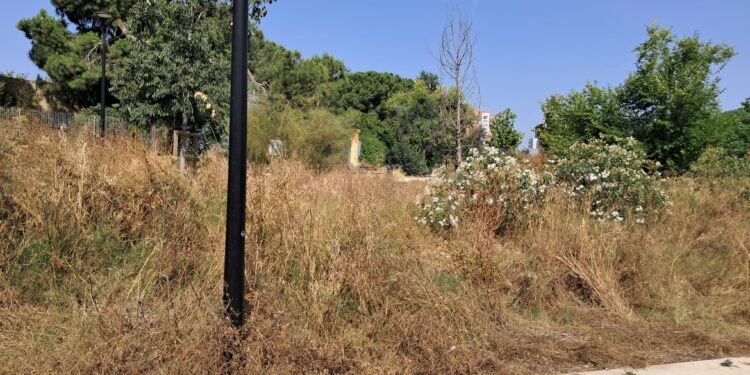Desidia en Valencia: El fraude verde de Benicalap revela un absoluto abandono de la Jardinería