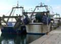 Bruselas prepara una reforma de las normas de pesca en el Mediterráneo para otoño 10 Bruselas prepara una reforma de las normas de pesca en el Mediterráneo para otoño