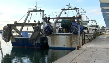 Bruselas prepara una reforma de las normas de pesca en el Mediterráneo para otoño 14 Bruselas prepara una reforma de las normas de pesca en el Mediterráneo para otoño