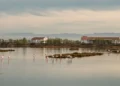 L’Albufera retoma el camino para convertirse en Reserva de la Biosfera de la Unesco tras el parón por la dana 10 c4b041b4 ff89 4aa9 b9eb 3282a935bf1e 16 9 aspect ratio 1600w 0