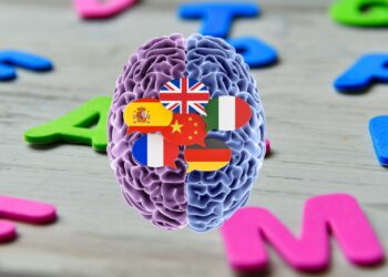 Un solo mapa para dos idiomas: el secreto del cerebro bilingüe