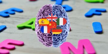 Un solo mapa para dos idiomas: el secreto del cerebro bilingüe