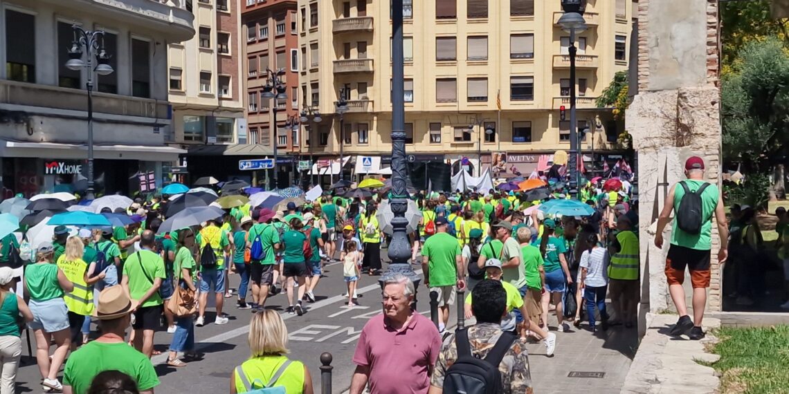 El profesorado valenciano suspende la huelga indefinida pero traslada el conflicto al próximo curso 1 El profesorado valenciano suspende la huelga indefinida pero traslada el conflicto al próximo curso