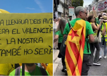 huelga profesores