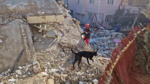 imagen bombero y perro rescate terremotos