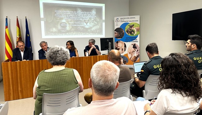 El ICAV se incorpora a la comisión que redactará el reglamento de la Ley de Bienestar Animal de la Comunitat Valenciana 1 El ICAV se incorpora a la comisión que redactará el reglamento de la Ley de Bienestar Animal de la Comunitat Valenciana