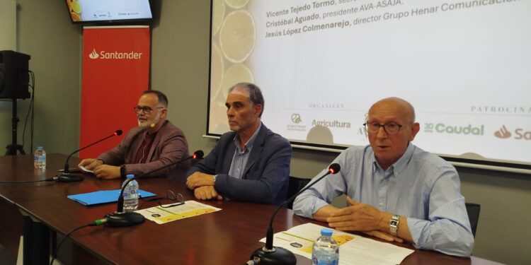 El sector citrícola apuesta por la vanguardia tecnológica para blindar su liderazgo frente al mercado exterior 1 El sector citrícola apuesta por la vanguardia tecnológica para blindar su liderazgo frente al mercado exterior