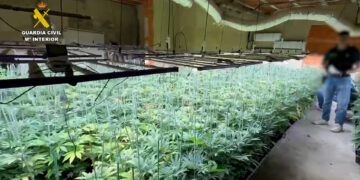 Desmantelada una sofisticada plantación de marihuana en un chalet de Picassent