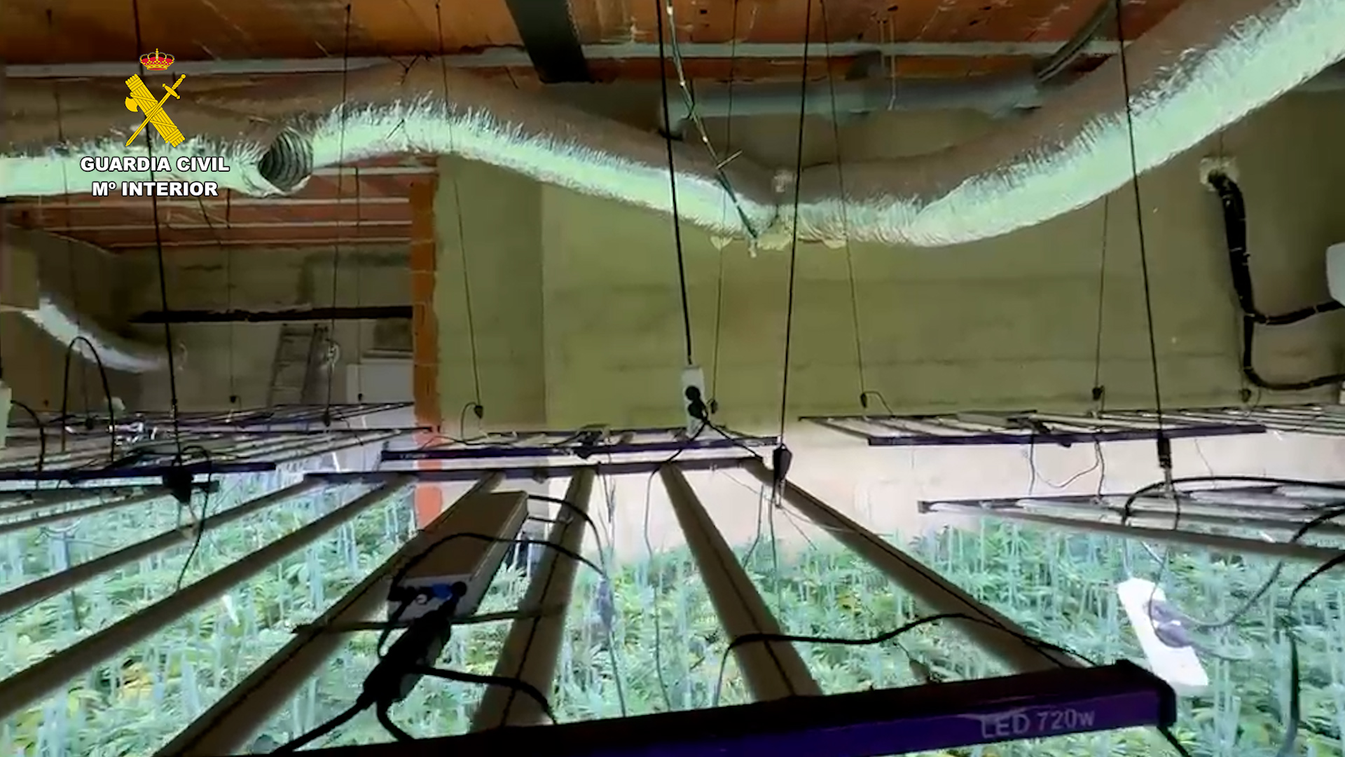 Desmantelada una sofisticada plantación de marihuana en un chalet de Picassent 3 marihuana picassent valencia editada FOTO 3