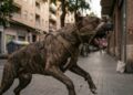 perro acatando