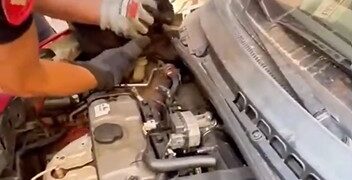 Gato rescatado por los Bomberos del Ajuntament de Valencia de un motor en la C/ Poeta Serrano Clavero