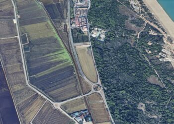 La DGT activa restricciones especiales en la CV-500 para mitigar los atascos del verano hacia El Saler