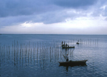 0622 Albufera llac