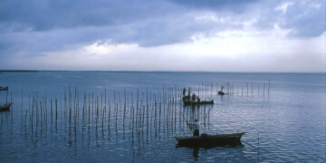 0622 Albufera llac