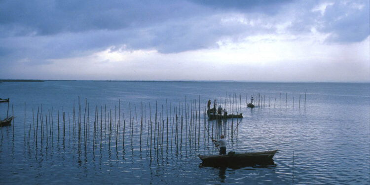 La Albufera da un paso decisivo para convertirse en Reserva de la Biosfera de la UNESCO 1 0622 Albufera llac