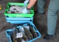 Detenidos dos hombres por vender pescado robado de piscifactorías con restos de medicamentos 13 0a22487a f657 46a5 9841 fffbc7dddfb5 16 9 aspect ratio 1600w 0