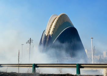 Un incendio de vegetación junto al Oceanogràfic moviliza a los Bomberos de Valéncia 14 1212149e 48c6 4205 be6d e6706556621e