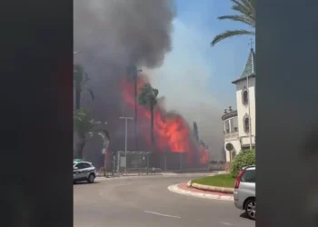 Muere un hombre de 78 años en el incendio forestal de Manises, ya estabilizado 13 1b36c5b8 ce37 42c4 9c94 14442bdc96c7 16 9 aspect ratio 1600w 0