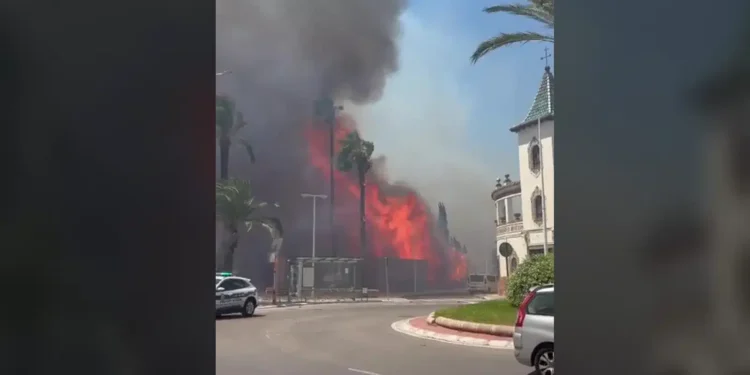 Muere un hombre de 78 años en el incendio forestal de Manises, ya estabilizado 1 1b36c5b8 ce37 42c4 9c94 14442bdc96c7 16 9 aspect ratio 1600w 0