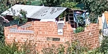 Vecinos de Benimaclet denuncian el abandono municipal ante la acumulación de escombros, maleza y asentamientos ilegales