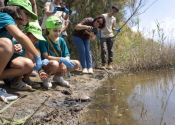 Las niñas y niños de la Escuela de Verano de BIOPARC Valencia participan en la emotiva reintroducción de galápagos europeos 17 Las niñas y niños de la Escuela de Verano de BIOPARC Valencia participan en la emotiva reintroducción de galápagos europeos