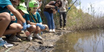 Las niñas y niños de la Escuela de Verano de BIOPARC Valencia participan en la emotiva reintroducción de galápagos europeos