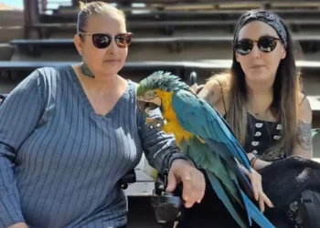 Una joven de 25 años con la eutanasia aprobada sueña con visitar el Oceanogràfic antes de morir 12 4e63f09a6d56c41fd04bef76e3fe6585d20b5c21