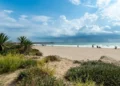 Cierran al baño dos playas de El Puig por un vertido de aguas fecales tras la rotura de una tubería 10 61a1188b 4e8d 41a4 a093 858ef49b512d 16 9 aspect ratio 1600w 0