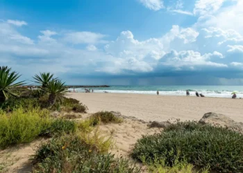 Cierran al baño dos playas de El Puig por un vertido de aguas fecales tras la rotura de una tubería 14 61a1188b 4e8d 41a4 a093 858ef49b512d 16 9 aspect ratio 1600w 0