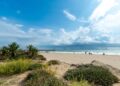 El Puig mantendrá cerrada al baño la playa de Medicalia al menos hasta el martes 13 9. Playas Puig scaled 1