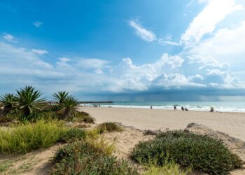 El Puig mantendrá cerrada al baño la playa de Medicalia al menos hasta el martes 17 9. Playas Puig scaled 1