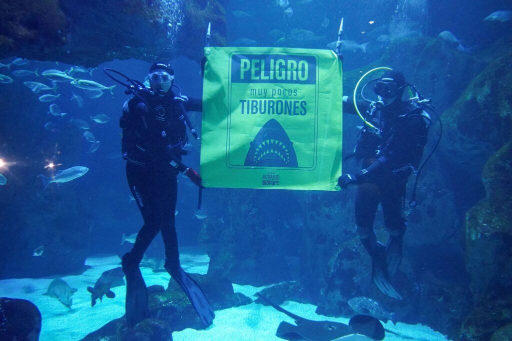 De la selva al océano: BIOPARC alerta sobre la crítica situación de chimpancés y tiburones ante el impacto humano 2 Actividades de sensibilizacion en BIOPARC Acuario de Gijon