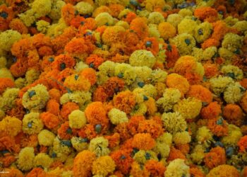 'I una vela llatina en el mar' conquista la Batalla de Flores 2026 y se lleva el máximo galardón 14 Batalla de Flores de Valencia del 2018 192