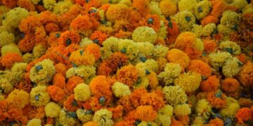 Batalla de Flores de Valencia del 2018 192
