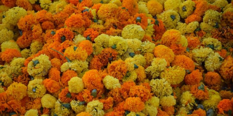 Batalla de Flores de Valencia del 2018 192