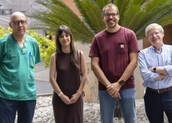 Un estudio valenciano descubre que el daño de un infarto se extiende a zonas aparentemente sanas del corazón