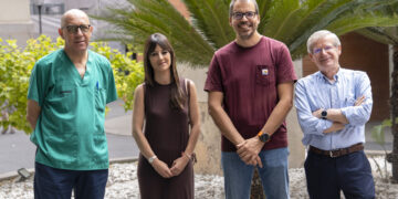 Un estudio valenciano descubre que el daño de un infarto se extiende a zonas aparentemente sanas del corazón