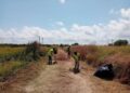 Brigada agricola SEPE