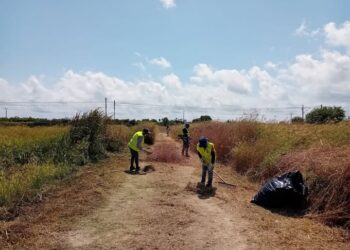 Brigada agricola SEPE