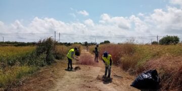 Brigada agricola SEPE