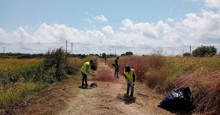 Brigada agricola SEPE