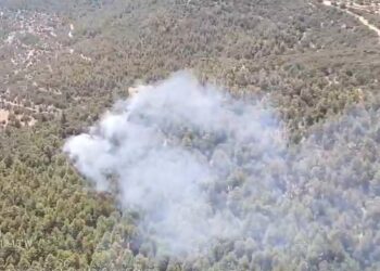 Declarado un incendio forestal en Castellfort (Castellón)