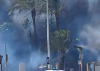 Incendio forestal (#IFManises) en el Barranc del Salt de l'Aigua, entre Quart de Poblet y Manises