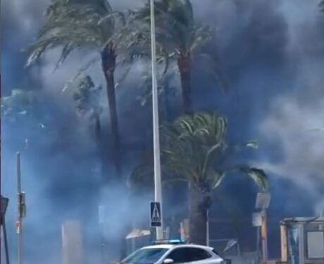 Incendio forestal (#IFManises) en el Barranc del Salt de l'Aigua, entre Quart de Poblet y Manises