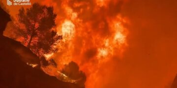 Captura de pantalla 2026 07 26 100423 1