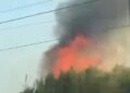 Un incendio de vegetación junto al Oceanogràfic moviliza a los Bomberos de Valéncia