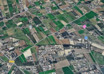 Incendio de vegetación en Catral moviliza a un medio aéreo 14 Incendio de vegetación en Catral moviliza a un medio aéreo