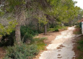 Sagunto reforzará la protección de la urbanización Codoval con la creación de una nueva área cortafuegos 14 Sagunto reforzará la protección de la urbanización Codoval con la creación de una nueva área cortafuegos