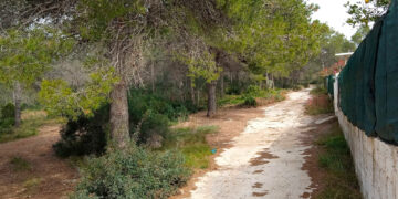 Sagunto reforzará la protección de la urbanización Codoval con la creación de una nueva área cortafuegos