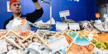 Dia destinara cerca de un millon de euros a la compra de sardina fresca iberica este verano 1 scaled 1